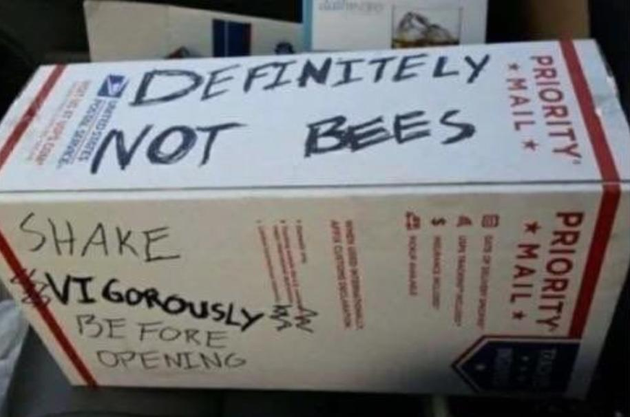 not bees